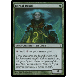 Boreal Druid