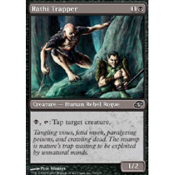 Trappeur rajhi / Rathi Trapper