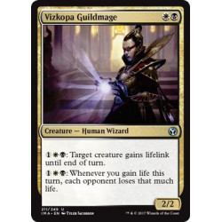 Vizkopa Guildmage