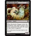 Rotfeaster Maggot