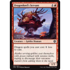 Dragonlord's Servant