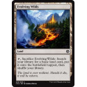 Evolving Wilds