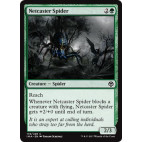 Netcaster Spider