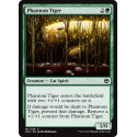 Phantom Tiger - Foil