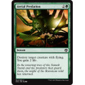 Aerial Predation - Foil