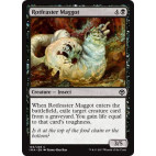 Rotfeaster Maggot