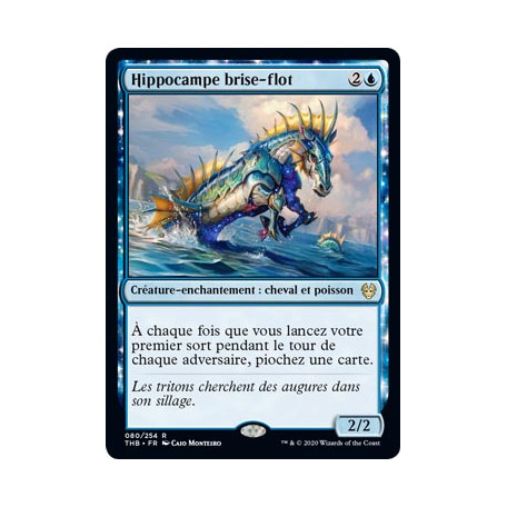 Hippocampe brise-flot / Wavebreak Hippocamp