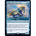 Hippocampe brise-flot / Wavebreak Hippocamp