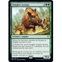 Sanglier nessian / Nessian Boar