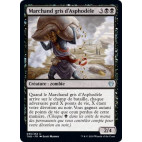 Marchand gris d'Asphodèle / Gray Merchant of Asphodel