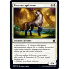 Licorne captivante / Captivating Unicorn