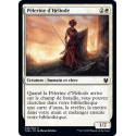 Pèlerine d'Héliode / Heliod's Pilgrim