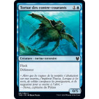 Tortue des contre-courants / Riptide Turtle