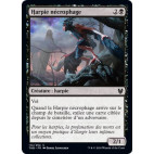 Harpie nécrophage / Scavenging Harpy