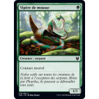 Vipère de mousse / Moss Viper