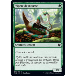 Vipère de mousse / Moss Viper