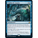 Typhon de requins