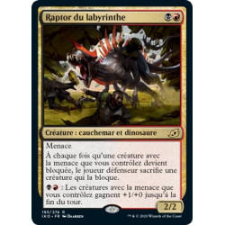 Raptor du labyrinthe