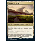 Triome de Savaï