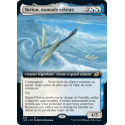 Yorion, nomade céleste (Extended-Art)