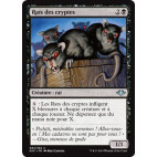 Rats des cryptes