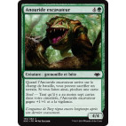 Anouride excavateur