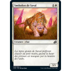 Smilodon de Savaï