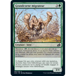 Grandcorne migrateur