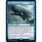 Baleine pourchassée