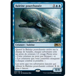 Baleine pourchassée