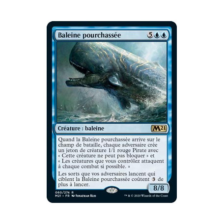 Baleine pourchassée