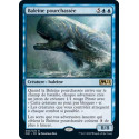 Baleine pourchassée