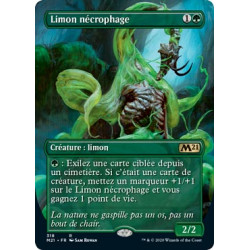 Limon nécrophage (Borderless)