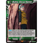 BT10-071 Bulma, Vie sur Namek