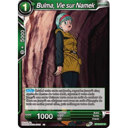 BT10-071 Bulma, Vie sur Namek