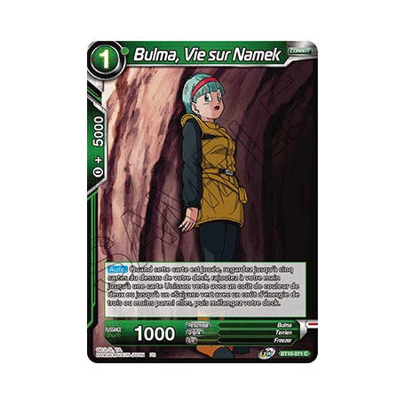 BT10-071 Bulma, Vie sur Namek