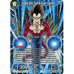 BT11-052 Vegeta SS4, Éveil du Super Guerrier