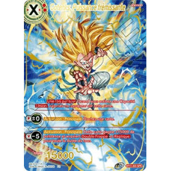 BT11-003SPR Gotenks, Puissance frémissante