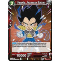 BT11-011 Vegeta, Jeunesse Saiyan