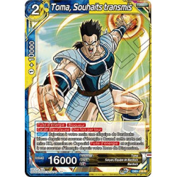 DB3-119 Toma, Souhaits transmis