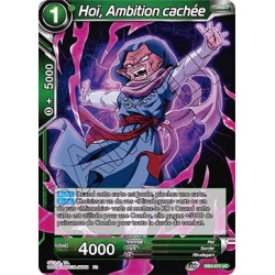 DB3-072 Hoï, Ambition cachée