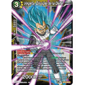 BT12-092 Vegeta, Disciple de la Déité