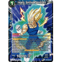 BT12-035 Vegeta, Sentinelle des Enfers