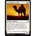 Dromadaire solitaire / Solitary Camel - Foil