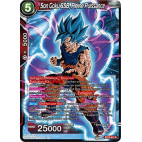 BT13-017 Son Goku SSB, Pleine Puissance