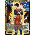 BT13-099 Son Gohan, Combattant de l'Espoir