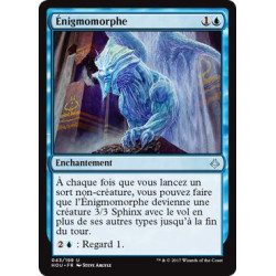 Énigmomorphe / Riddleform