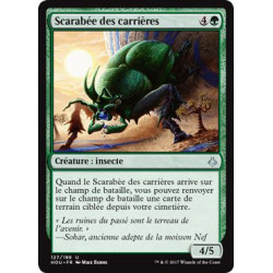 Scarabée des carrières / Quarry Beetle