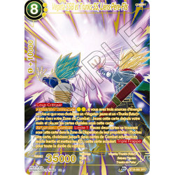 BT16-080 SPR Vegeta SSB et Trunks SS, Liens Père-Fils