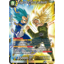 BT16-080 Vegeta SSB et Trunks SS, Liens Père-Fils